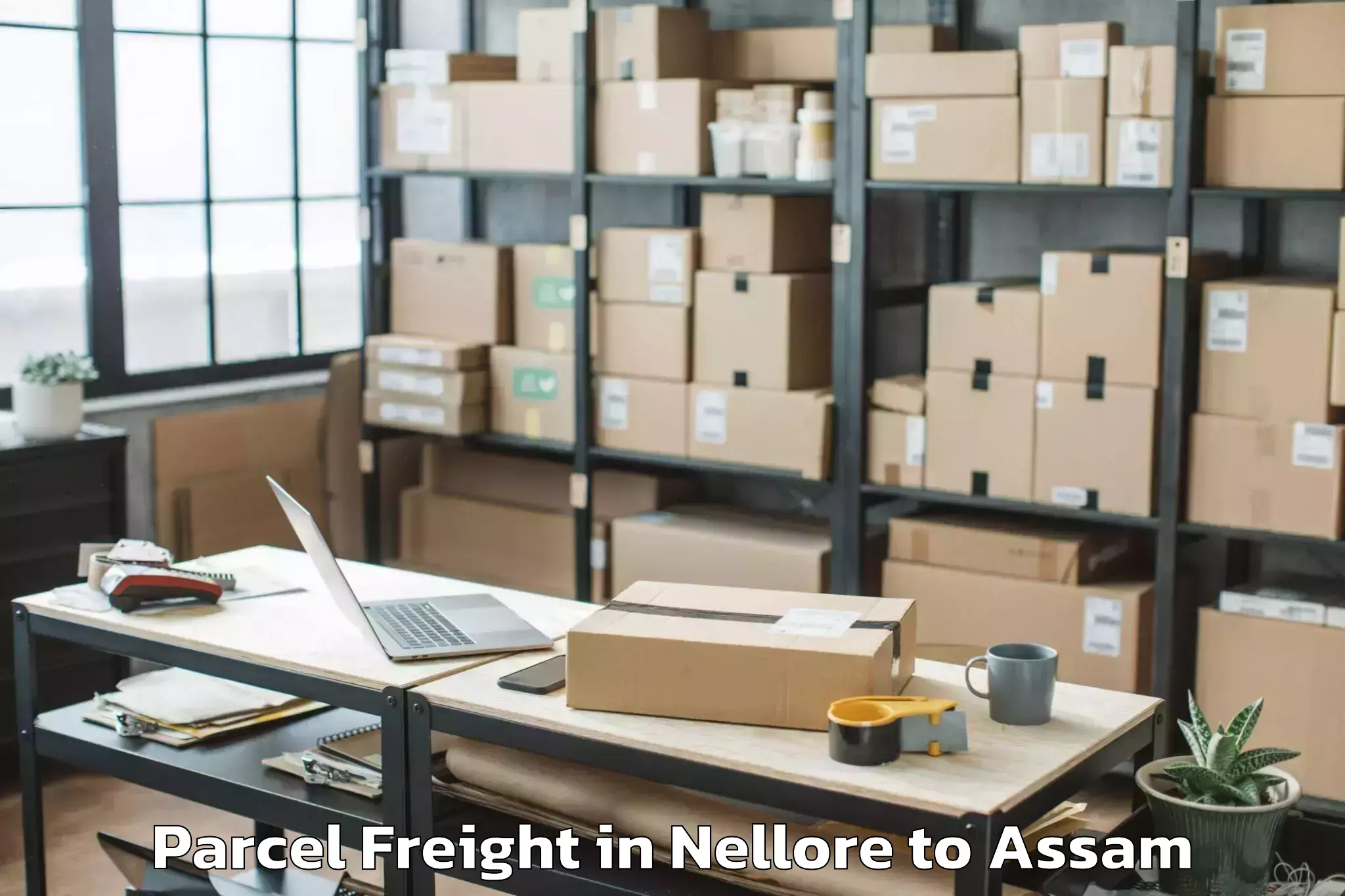 Easy Nellore to Iit Guwahati Parcel Freight Booking